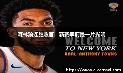森林狼连胜收官，新赛季前景一片光明