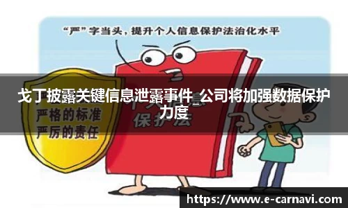 戈丁披露关键信息泄露事件_公司将加强数据保护力度
