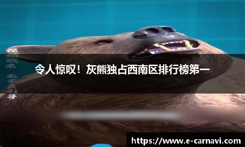 令人惊叹！灰熊独占西南区排行榜第一